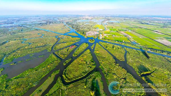 九龙口国家湿地公园 本报通讯员 王学言 供图