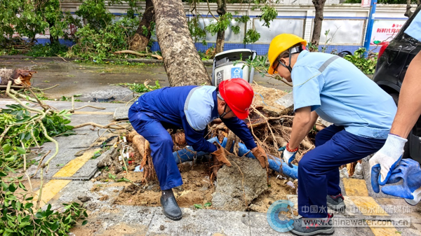 合力开展供水管网抢修