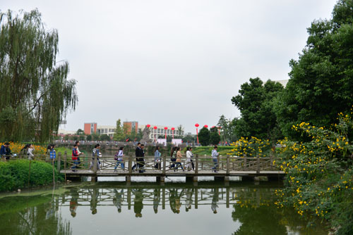 DSC_9499.JPG